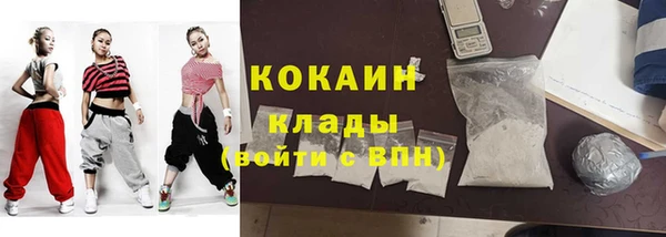 трава Арсеньев