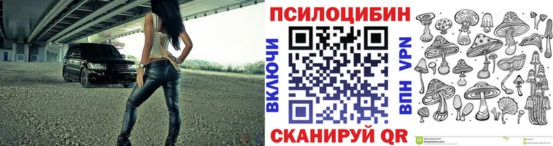 OMG как найти закладки Семёнов Галлюциногенные грибы Cubensis